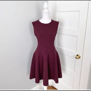 NWT Ted Baker Frinca Knit Fit & Flare Dress Purple